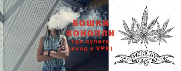 гашик Дмитриев