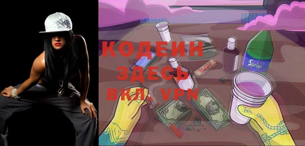 гашик Дмитриев