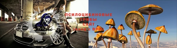 гашишное масло Дмитровск