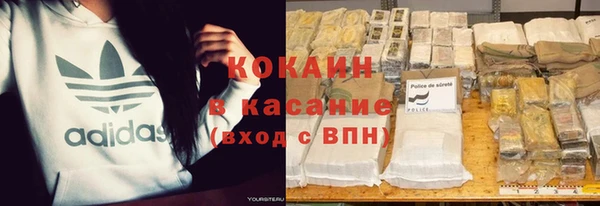 хмурый Гусь-Хрустальный