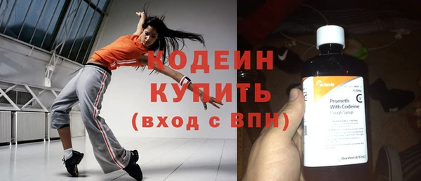 гашик Дмитриев