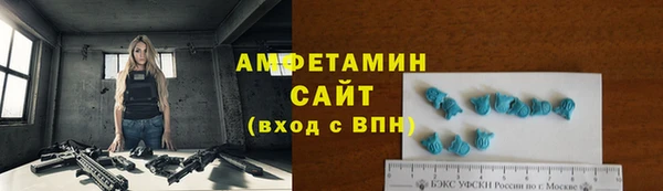 хмурый Гусь-Хрустальный
