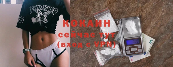 хмурый Гусь-Хрустальный