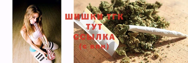 хмурый Гусь-Хрустальный