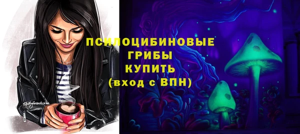 мет Гусев